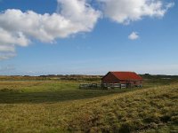 NL, Noord-Holland, Texel, Paal nine 16, Foto Fitis-Sytske Dijksen