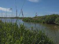 NL, Noord-Holland, Zijpe, Zwanenwater 14, Saxifraga-Jan van der Straaten