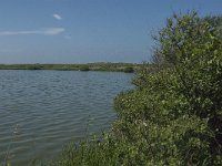 NL, Noord-Holland, Zijpe, Zwanenwater 2, Saxifraga-Jan van der Straaten