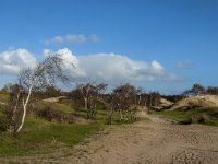 NL, Zeeland, Schouwen-Duiveland, Het Zeepe 8, Saxifraga-Jan van der Straaten