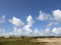 NL, Zeeland, Schouwen-Duiveland, Westenschouwen 20, Saxifraga-Roel Meijer  White clouds above dunes of Burgh-Haamstede, Schouwen-Duiveland, Zeeland, Netherlands : blue skydune, cloud, sand, summer, summertime, white