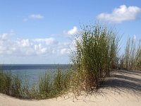 Sandy dunes with Beach grass on blue sky with fluffy white clouds  Ammophila arenaria. : Joy, Pleasure, Summer, Summertime