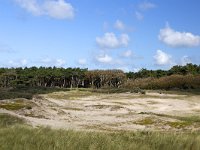 NL, Zeeland, Schouwen-Duiveland, Westenschouwen 40, Saxifraga-Roel Meijer  Dunes and forests of Westenschouwen, Burgh-Haamstede, Schouwen-Duiveland, Zeeland, Netherlands : blue sky, Burgh-Haamstede, coast, dune, dunes, fluffy, grass, grasses, growth, Holland, Netherlands, sand, sandy, shore, Westenschouwen, white cloud, white clouds, Zeeland