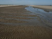 NL, Zuid-Holland, Goeree-Overflakkee, Kwade Hoek 12, Saxifraga-Jan van der Straaten