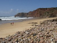 P, Faro, Aljezur, Carrapateira, Praia do Amado 5, Saxifraga-Willem van Kruijsbergen
