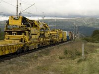 N, Innlandet, Dovre, Fokstumyra 20, Saxifraga-Willem van Kruijsbergen