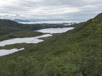 N, Nordland, Vagan, Djeveldalen 10, Saxifraga-Willem van Kruijsbergen