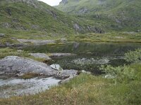 N, Nordland, Vagan, Djeveldalen 14, Saxifraga-Willem van Kruijsbergen