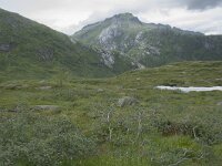 N, Nordland, Vagan, Djeveldalen 16, Saxifraga-Willem van Kruijsbergen