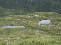 N, Nordland, Vagan, Djeveldalen 21, Saxifraga-Willem van Kruijsbergen