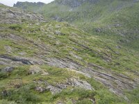 N, Nordland, Vagan, Djeveldalen 22, Saxifraga-Willem van Kruijsbergen