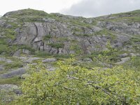 N, Nordland, Vagan, Djeveldalen 26, Saxifraga-Willem van Kruijsbergen