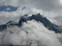 I, Trentino-Sued Tirol, Stelvio National Park, Sulden, Ortler 1, Saxifraga-Jan van der Straaten