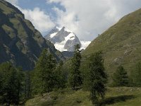I, Valle d Aosta, Pre Saint Didier, Mont Blanc 1, Saxifraga-Jan van der Straaten
