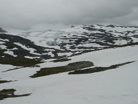 N, Oppland, Lom, Boverbrean 1, Saxifraga-Willem van Kruijsbergen