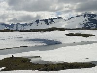 N, Oppland, Lom, Fanarakbreen 5, Saxifraga-Willem van Kruijsbergen