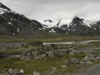 N, Oppland, Lom, Leirdalen 2, Saxifraga-Willem van Kruijsbergen