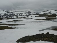 N, Oppland, Lom, Rundhaugan 1, Saxifraga-Willem van Kruijsbergen