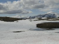 N, Oppland, Lom, Rundhaugan 4, Saxifraga-Willem van Kruijsbergen