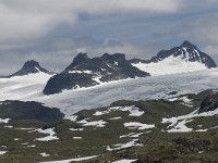 N, Oppland, Lom, Smorstabbtindan 1, Saxifraga-Willem van Kruijsbergen