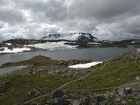 N, Oppland, Lom, Sognefjell 2, Saxifraga-Jan van der Straaten