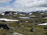 N, Oppland, Lom, Sognefjell 21, Saxifraga-Jan van der Straaten