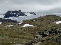 N, Oppland, Lom, Sognefjell 23, Saxifraga-Jan van der Straaten