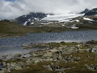 N, Oppland, Lom, Sognefjell 6, Saxifraga-Jan van der Straaten