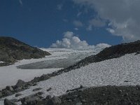 N, Oppland, Lom, Sognefjellet 21, Saxifraga-Jan van der Straaten