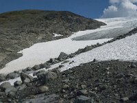 N, Oppland, Lom, Sognefjellet 23, Saxifraga-Jan van der Straaten