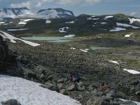 N, Oppland, Lom, Sognefjellet 26, Saxifraga-Jan van der Straaten