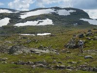 N, Oppland, Lom, Sognefjellet 34, Saxifraga-Jan van der Straaten