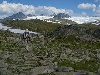 N, Oppland, Lom, Sognefjellet 43, Saxifraga-Jan van der Straaten