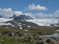 N, Oppland, Lom, Sognefjellet 44, Saxifraga-Jan van der Straaten