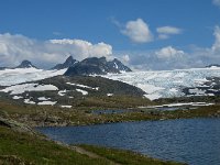 N, Oppland, Lom, Sognefjellet 49, Saxifraga-Jan van der Straaten