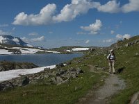 N, Oppland, Lom, Sognefjellet 6, Saxifraga-Jan van der Straaten