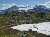 N, Oppland, Lom, Sognefjellet 8, Saxifraga-Jan van der Straaten