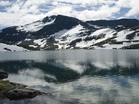 N, Sogn og Fjordane, Luster, Hervavatnet 1, Saxifraga-Willem van Kruijsbergen