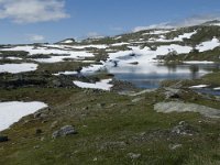 N, Sogn og Fjordane, Luster, Hervavatnet 2, Saxifraga-Willem van Kruijsbergen