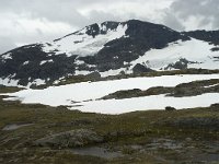 N, Sogn og Fjordane, Luster, Hervavatnet 7, Saxifraga-Willem van Kruijsbergen