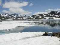 N, Sogn og Fjordane, Luster, Korpen 10, Saxifraga-Willem van Kruijsbergen