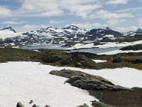 N, Sogn og Fjordane, Luster, Korpen 5, Saxifraga-Willem van Kruijsbergen