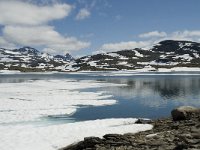 N, Sogn og Fjordane, Luster, Korpen 9, Saxifraga-Willem van Kruijsbergen