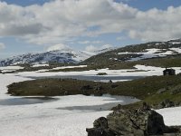 N, Sogn og Fjordane, Luster, Prestesteinshytta 1, Saxifraga-Willem van Kruijsbergen