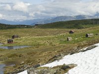 N, Sogn og Fjordane, Sogndal, Fagreggi 4, Saxifraga-Willem van Kruijsbergen