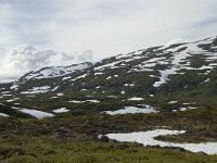 N, Sogn og Fjordane, Sogndal, Fagreggi 6, Saxifraga-Willem van Kruijsbergen