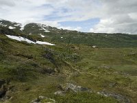 N, Sogn og Fjordane, Sogndal, Rysete 11, Saxifraga-Willem van Kruijsbergen