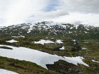 N, Sogn og Fjordane, Sogndal, Rysete 5, Saxifraga-Willem van Kruijsbergen