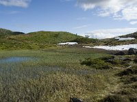 N, Sogn og Fjordane, Sogndal, Skavasshaugane 5, Saxifraga-Willem van Kruijsbergen