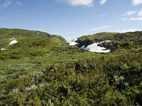 N, Sogn og Fjordane, Sogndal, Skavasshaugane 8, Saxifraga-Willem van Kruijsbergen